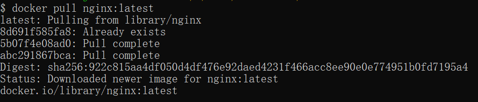 docker安装nginx